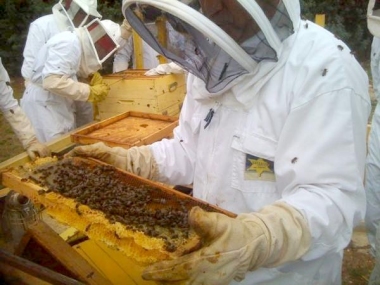 foto_formacin_int._apicola._modf